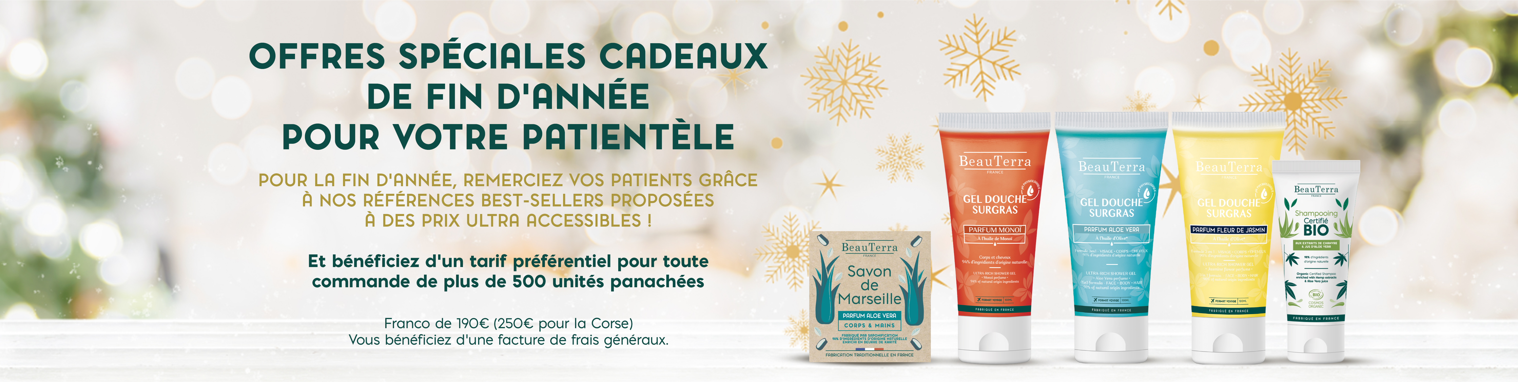 Bannière d'offre de noël